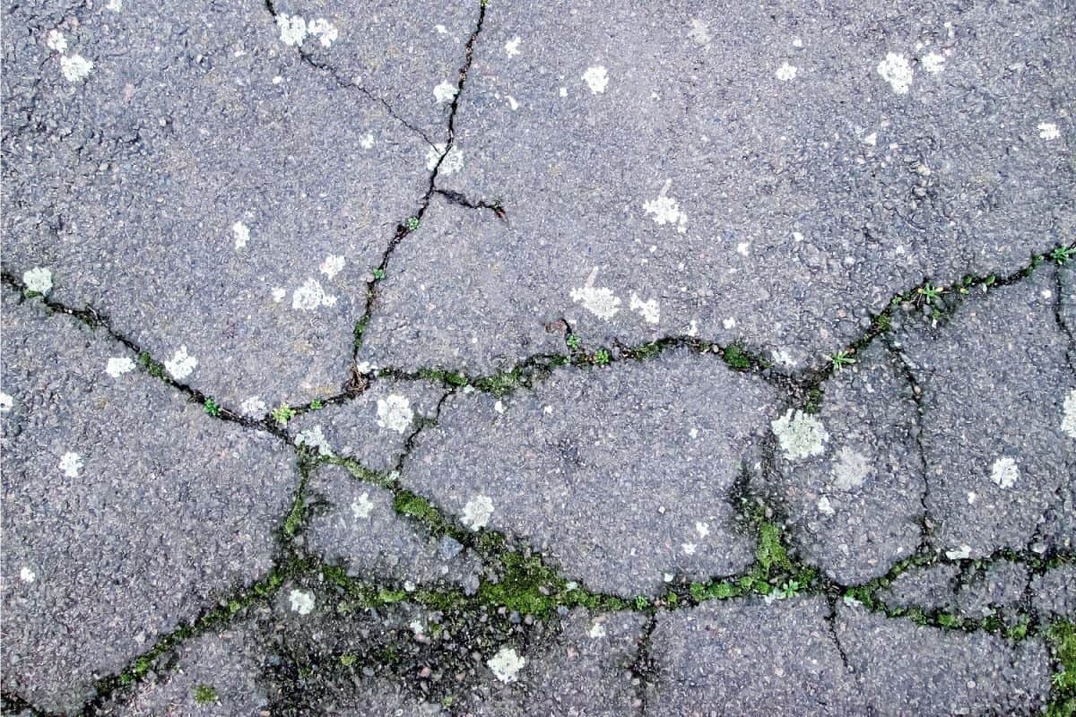 Broken road. Cracks in the road surface
