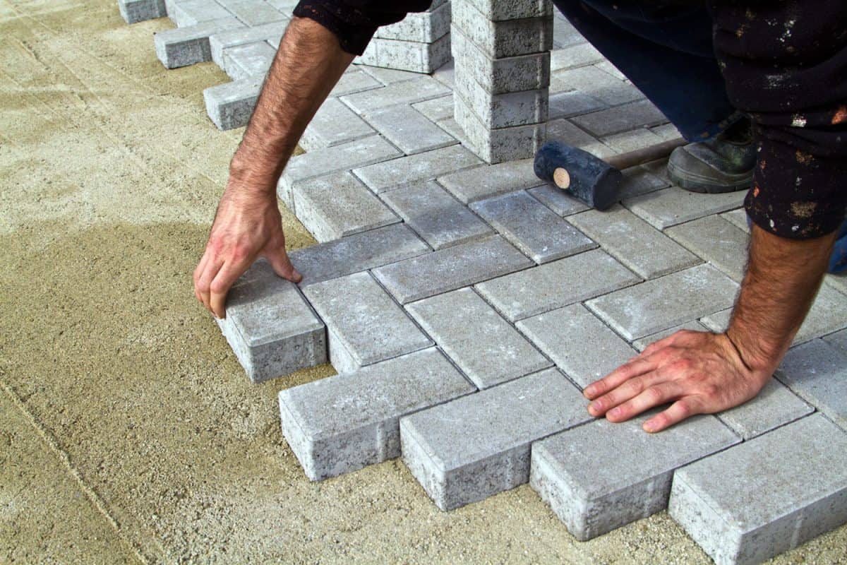 Brick layer laying out bricks for the backyard pavement