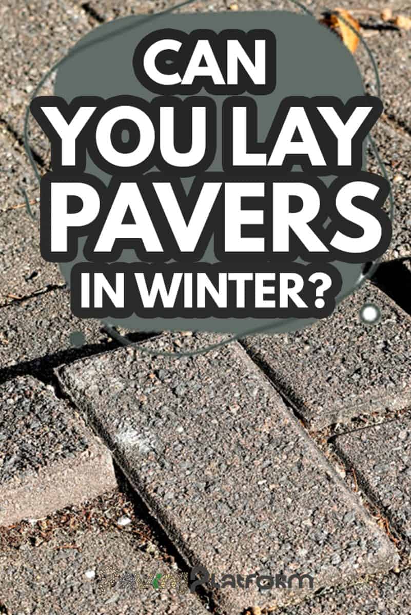 Stone pavers the oblong brick blocks that make up some paved surfaces are easily disturbed by tree roots - Can You Lay Pavers In Winter?