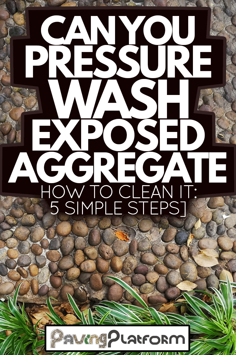 Top View of exposed aggregate with Small Green Bush, Can You Pressure Wash Exposed Aggregate [How To Clean It: 5 Simple Steps]