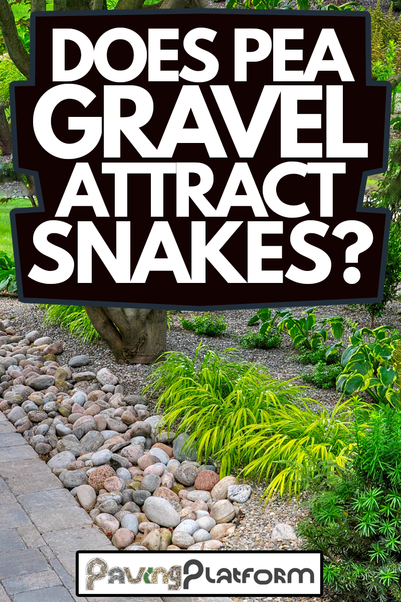 Asian inspired landscaping features various textures and types of plants and natural stone, and tumbled paver edging to help retain the grade, Does Pea Gravel Attract Snakes?