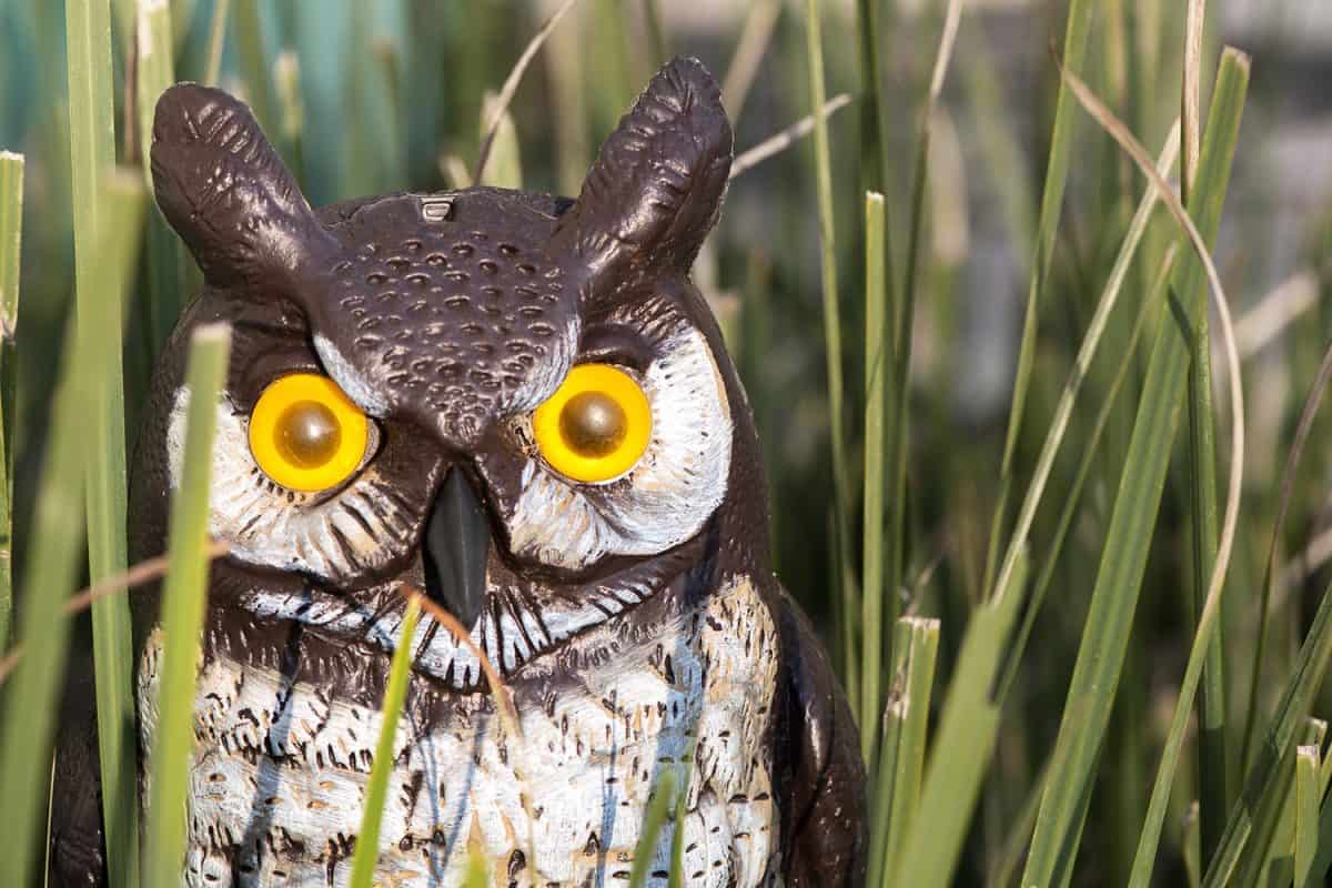 Fake plastic garden owl sitting in green grass with orange eyes