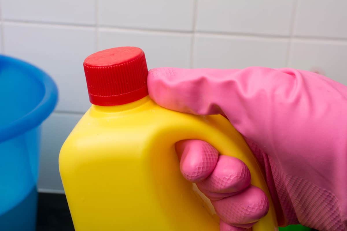 Hand with yellow bottle of bleach