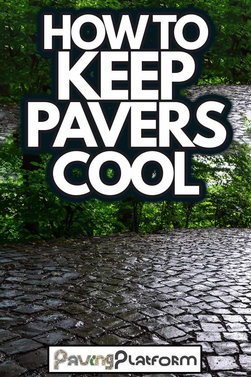 old pavers after rain, wet stone pavement, background, How To Keep Pavers Cool
