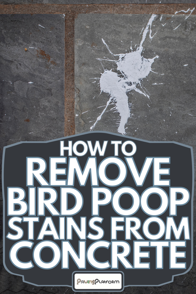 Large white bird poop splat on outdoor slate tile patio, How To Remove Bird Poop Stains From Concrete