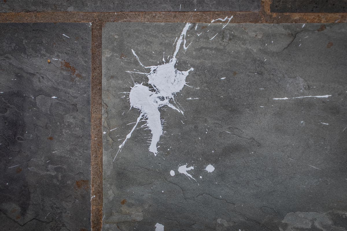 A large white bird poop splat on outdoor slate tile patio, How To Remove Bird Poop Stains From Concrete