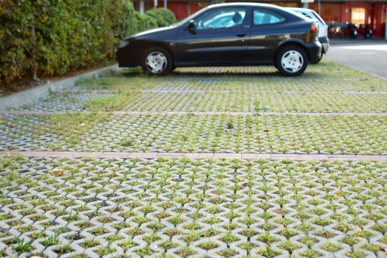 A permeable pavers parking lot, Do Weeds Grow Through Permeable Pavers? [And How To Stop Them]