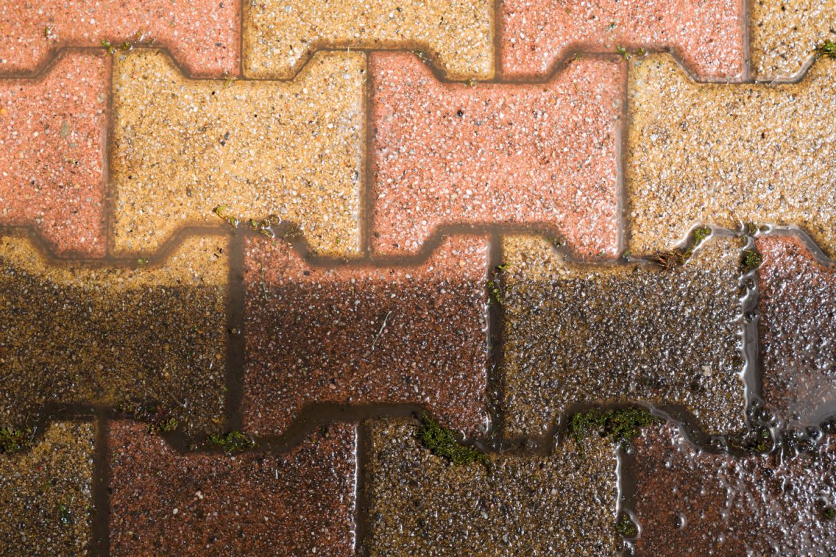 Red and yellow colored interlocking pavers on the garden