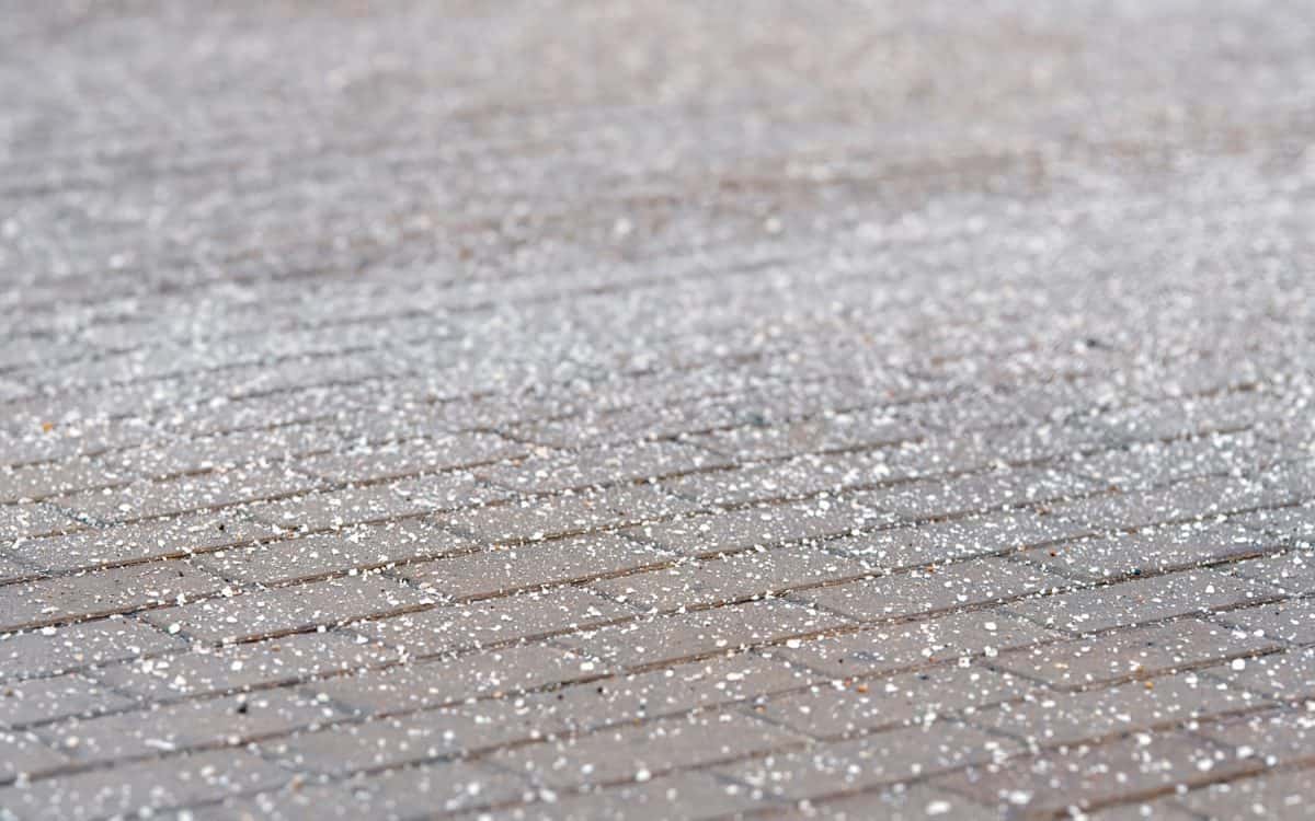 Rock salt (sodium chloride) spread on paving slabs for de-icing, prevent slipping.