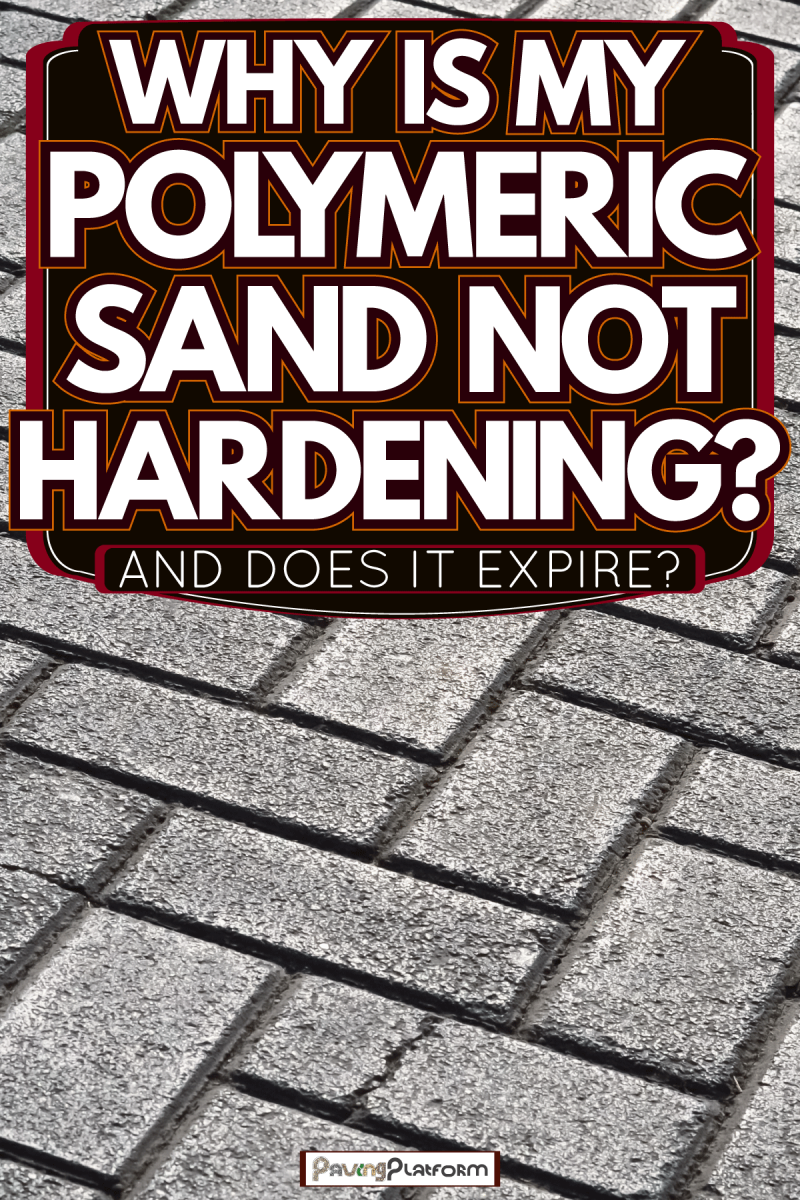 Concrete pavers on the patio, Why Is My Polymeric Sand Not Hardening? [And Does It Expire]