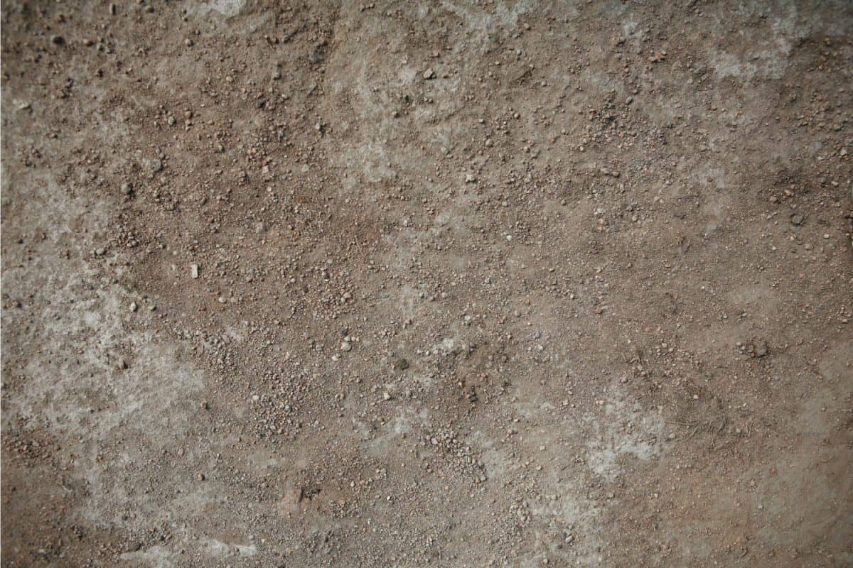 earth and stone dust, vertical photo