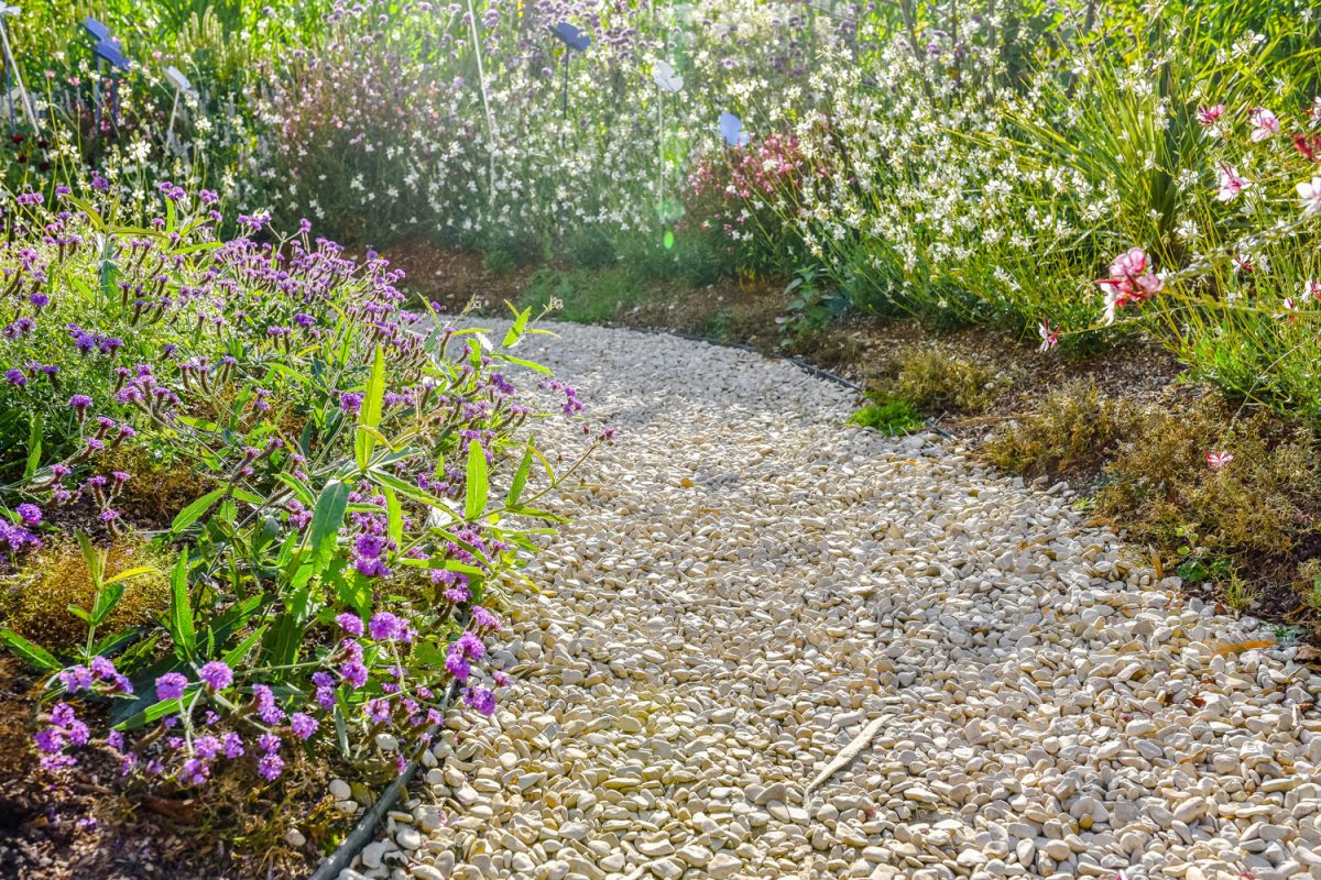 A pathwalk made from gravel and plants on the side