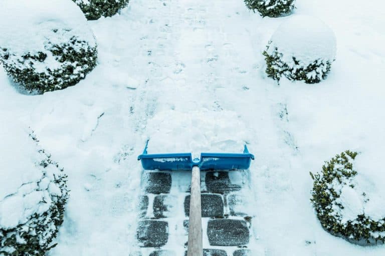 A blue shovel removing snow from the paver path, Best Snow And Ice Melt For Pavers