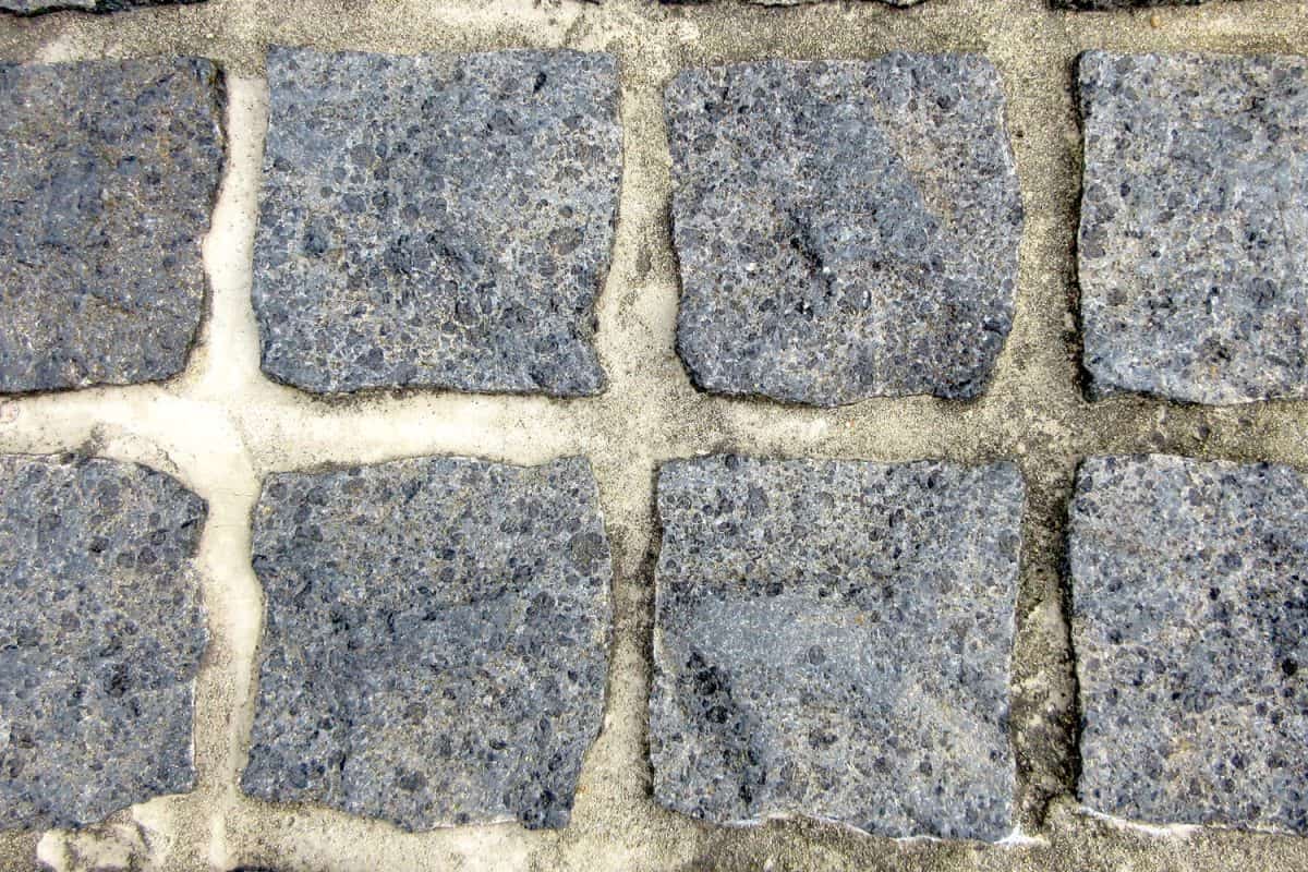Blue stone pavers on the garden patio