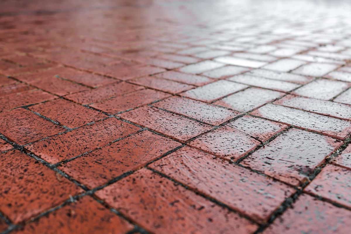 Brown paver walkway get wet cause of rain