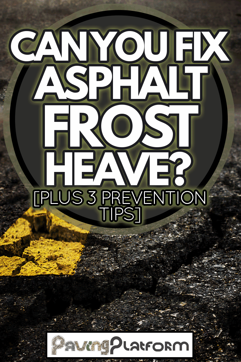 Crack textured asphalt road background due to frost heaves, Can You Fix Asphalt Frost Heave? [Plus 3 Prevention Tips]