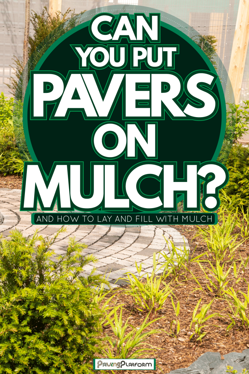 A garden decorated with patio pavers and mulch for the plants on the side, Can You Put Pavers On Mulch? [And How To Lay And Fill With Mulch]