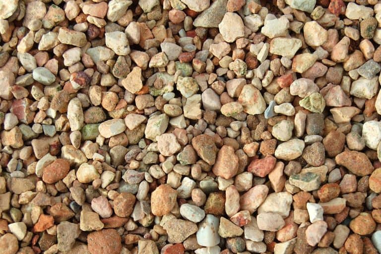 Colorful pea gravel texture for background, Is Pea Gravel Good For Dogs? [Including How Deep For A Dog Run]