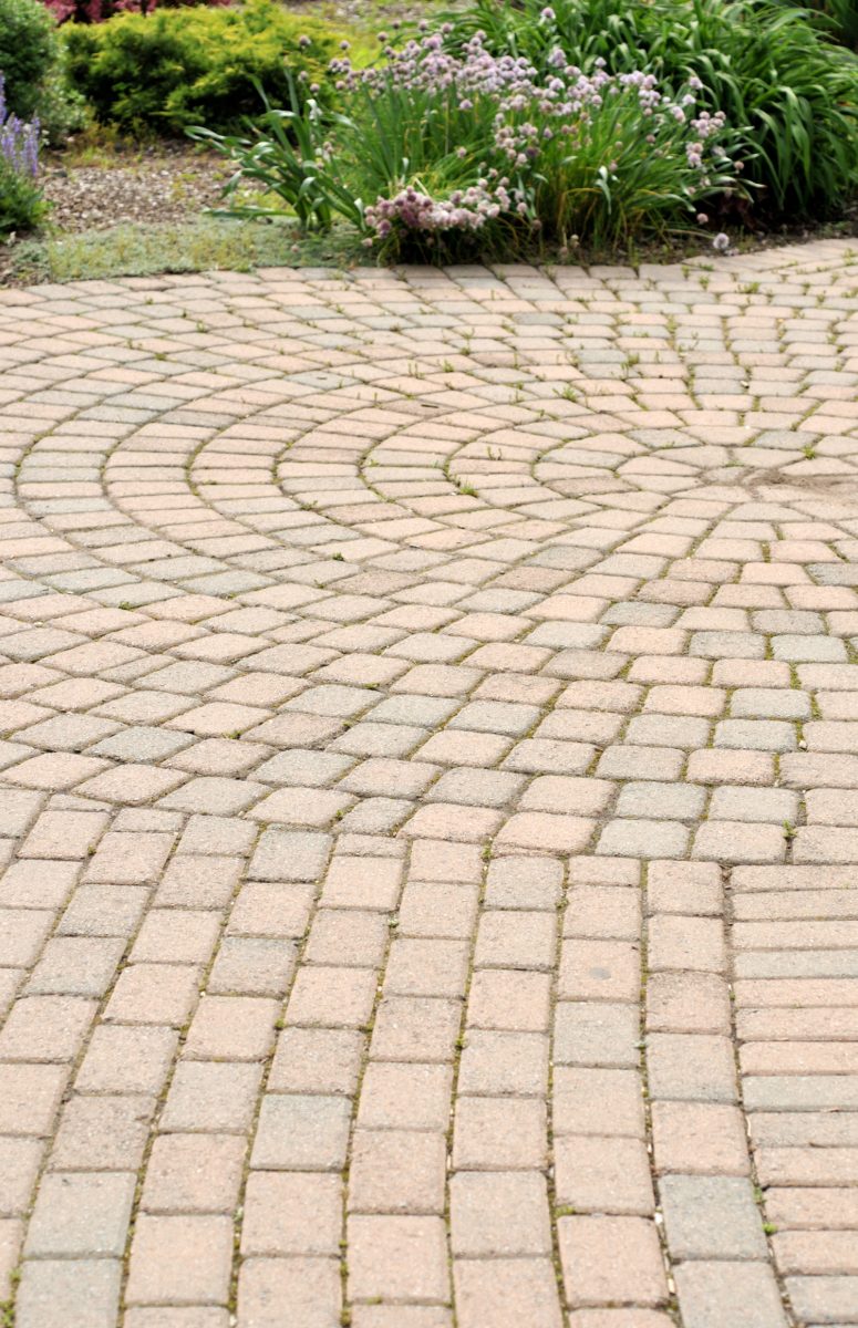 Curved paving stones form patio in garden