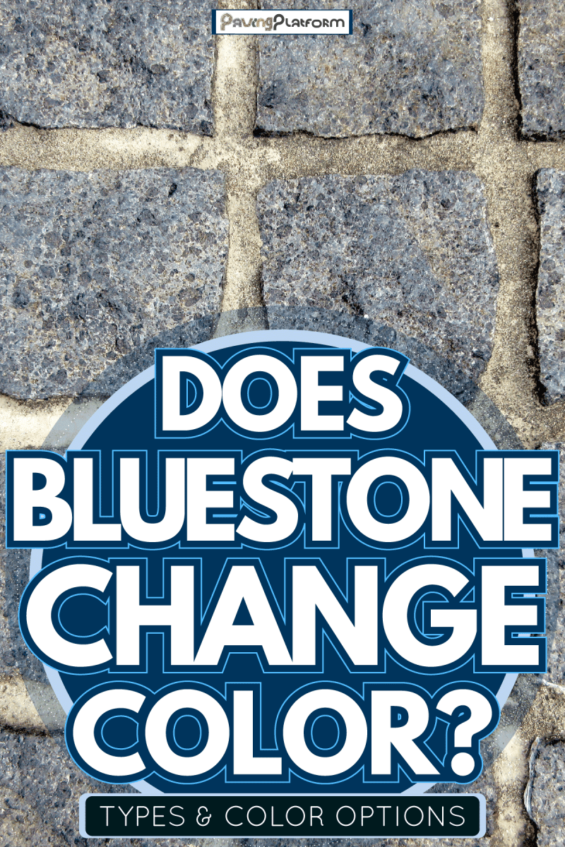 Bluestone Paver Cobbles perfect for hard lanscaping, Does Bluestone Change Color? Types Color Options