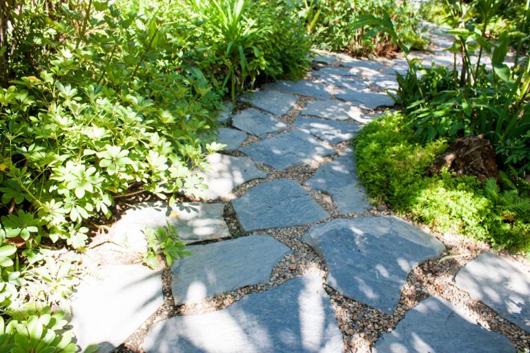 A flagstone pathway on the garden, What To Put In The Gaps Between Flagstone