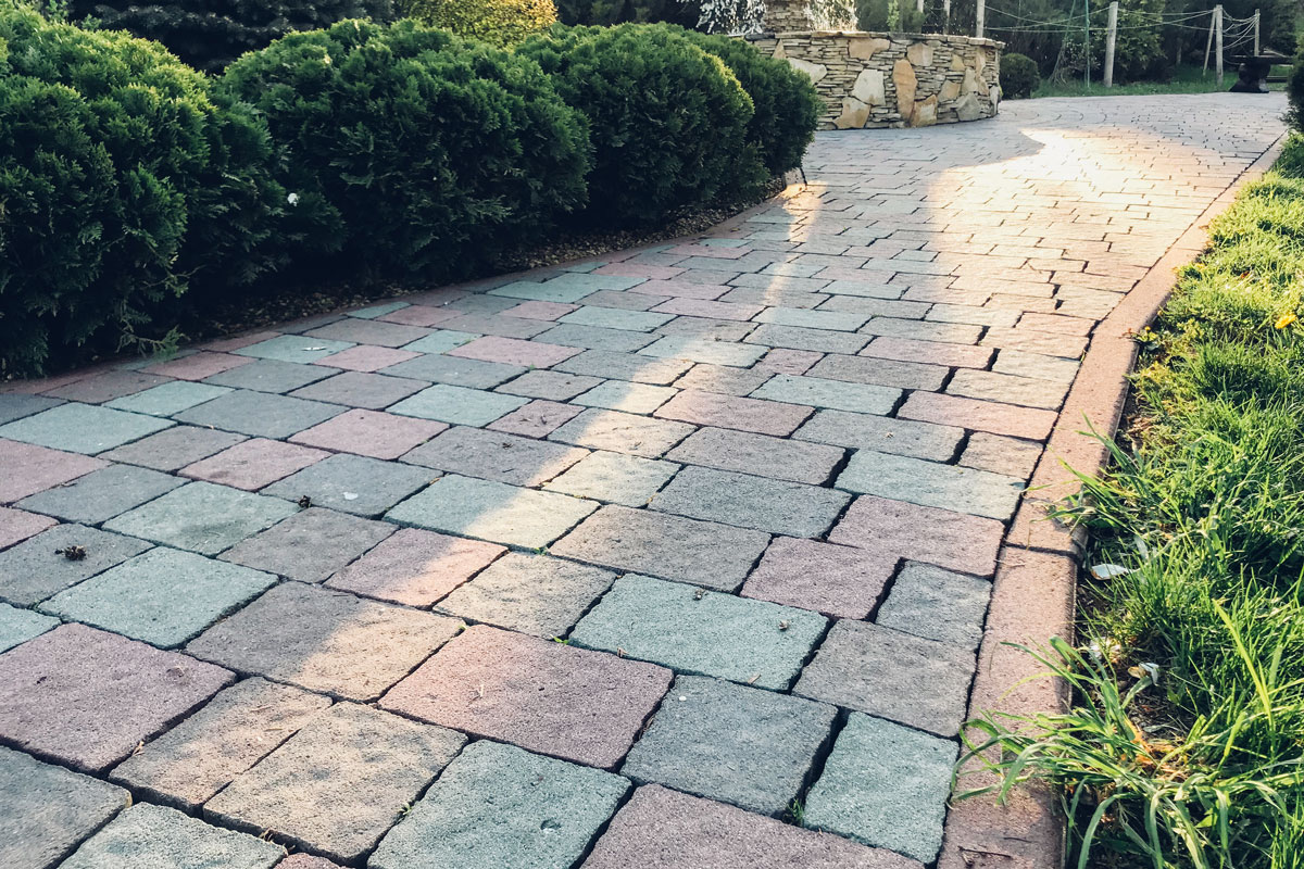 Garden brick pavers and tile plants, evergreen shrubs and deciduous trees landscaping, Permeable Pavers Vs. Non-Permeable Pavers [Including 3 Examples Of Each]