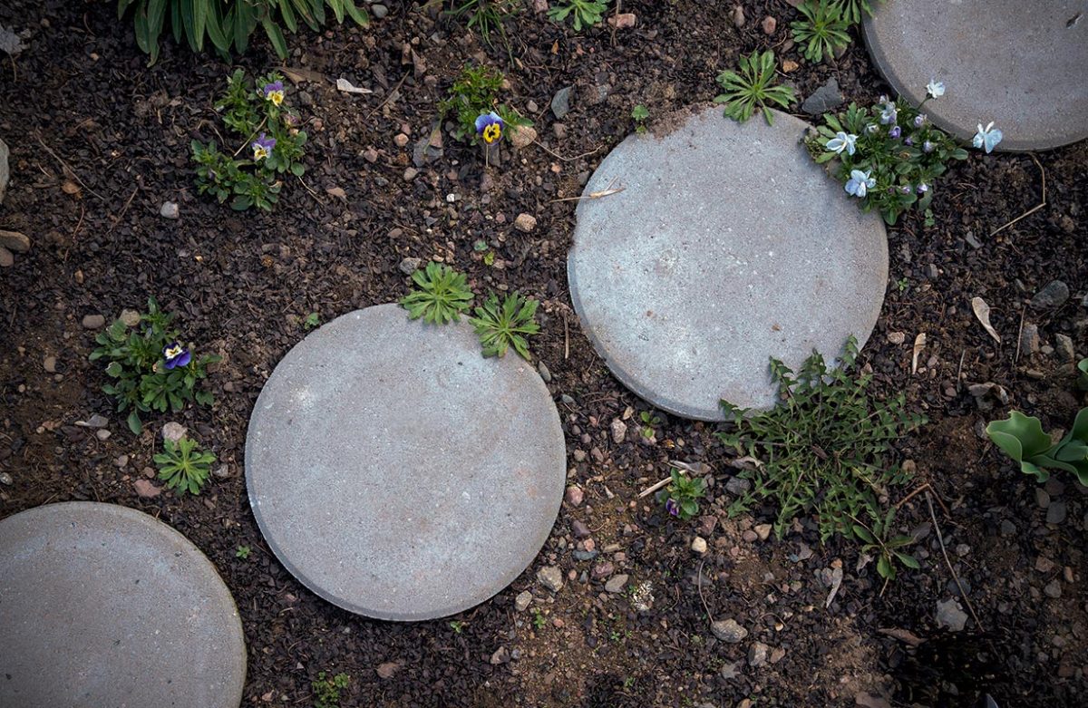 Garden path circular stepping stones in an early spring garden