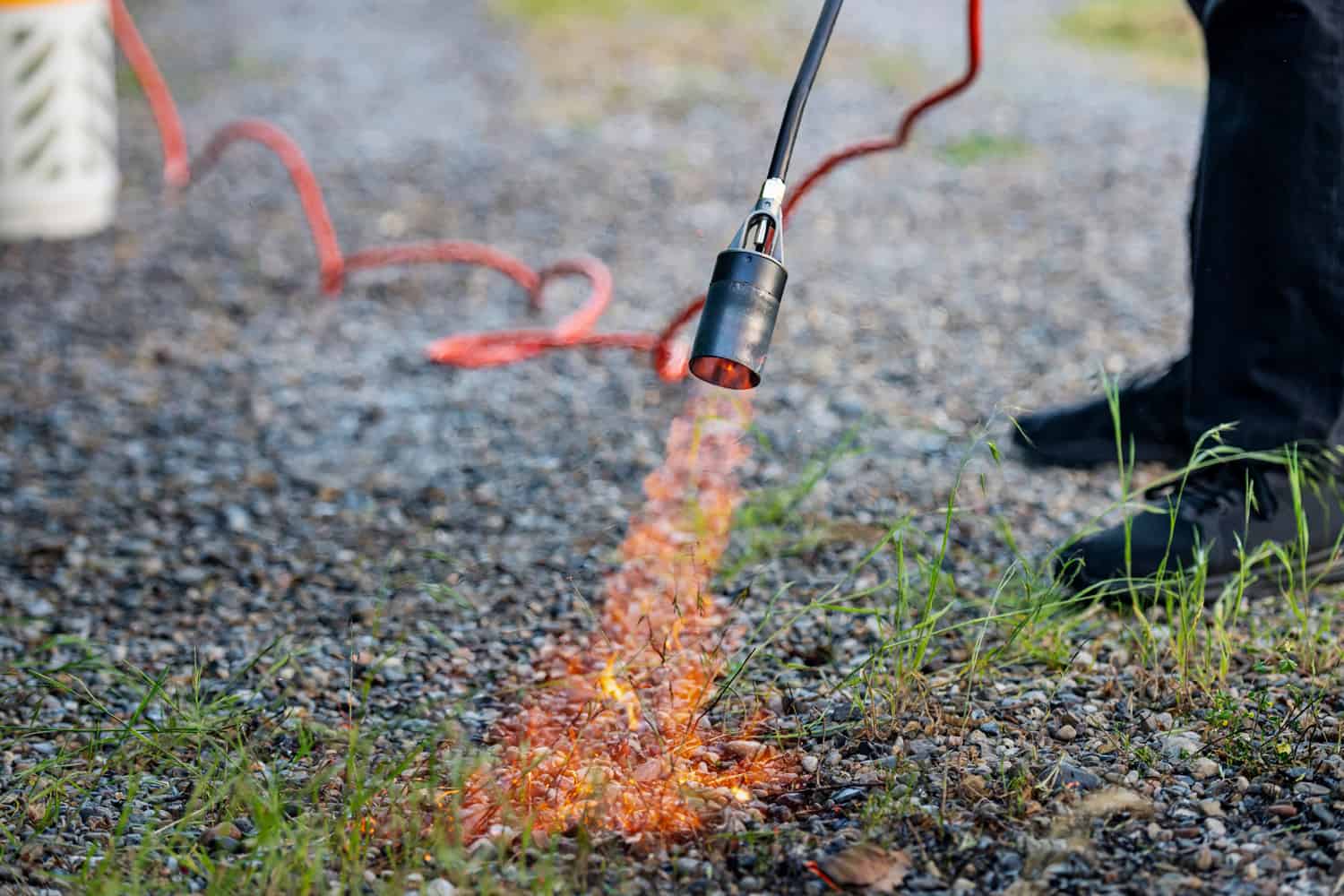 Gas powered weed burner lance burning weeds on a gravel driveway.