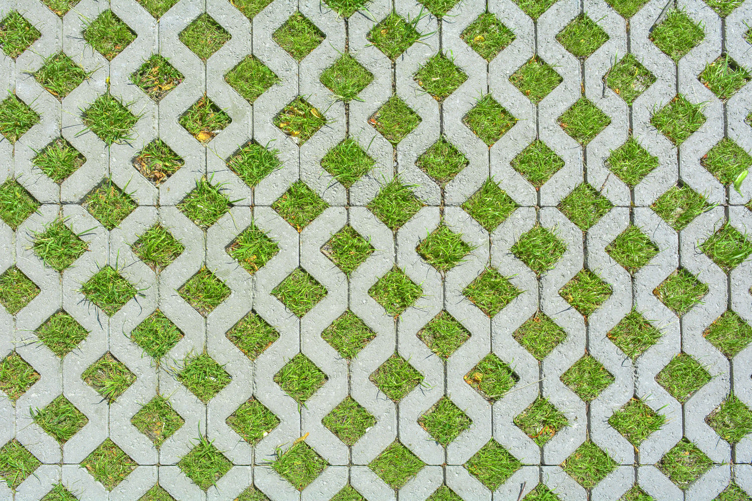 Geometric background of eco floor bricks and green grass. 