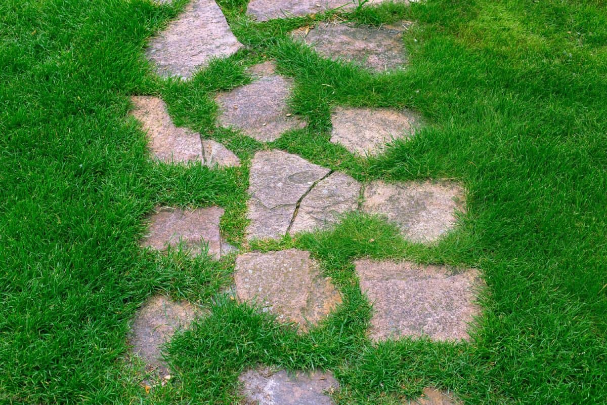 Grass can be also use to cover the edge of the ground of a flagstone installed
