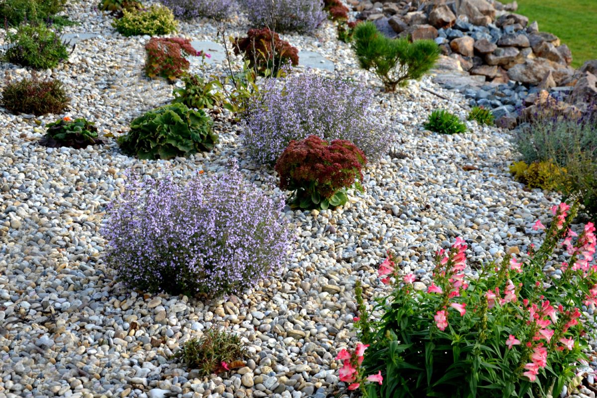 Gravel and plants used for the garden landscape