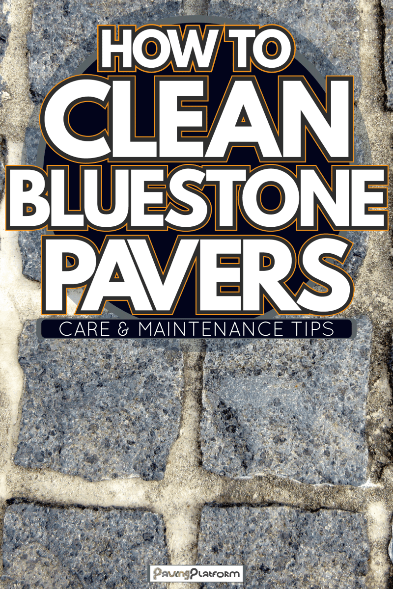Blue stone pavers on the garden patio, How To Clean Bluestone Pavers [Care & Maintenance Tips]