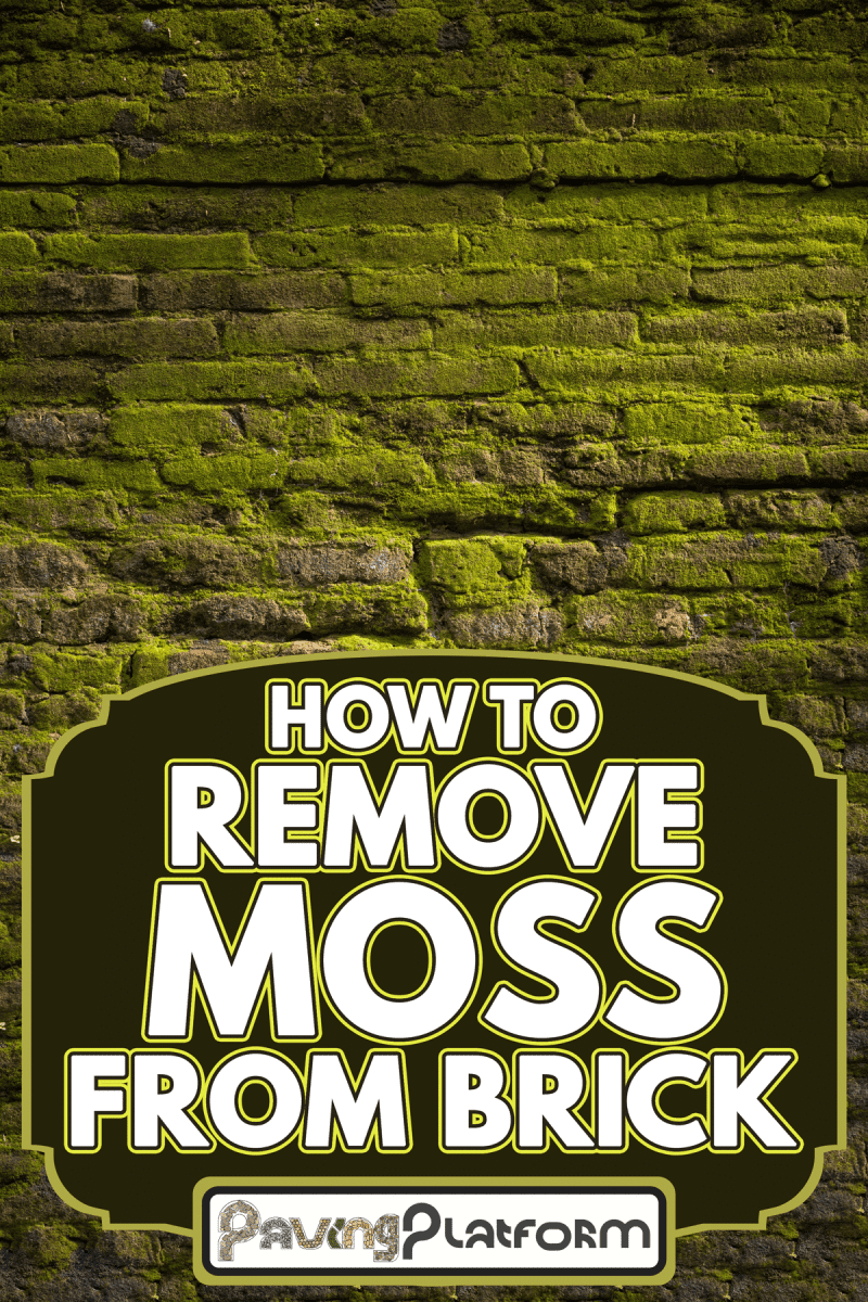 Old brick wall covered with a moss, How To Remove Moss From Brick
