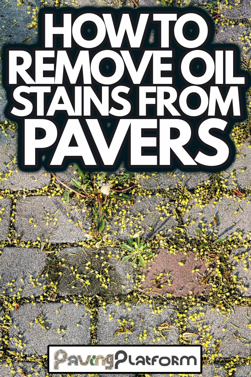 Isolated close-up contrast oil fluid leak stains old car block paver paved driveway before cleaning covered maple pollen nature fights takes back human damage, How To Remove Oil Stains From Pavers