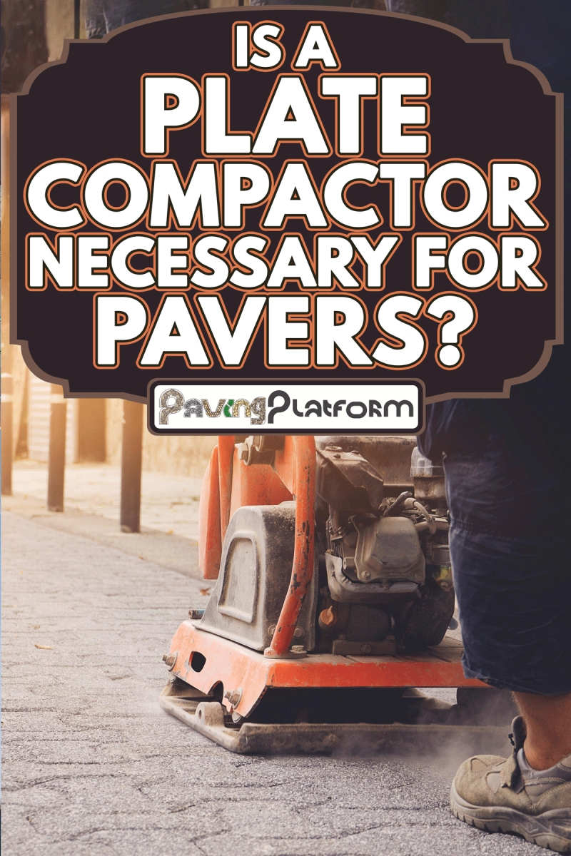 Construction workers installing and arranging precast concrete pavers stone for road, Is A Plate Compactor Necessary For Pavers?