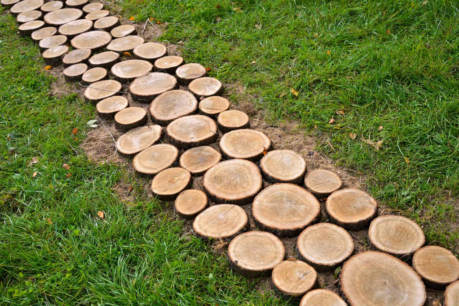 Main Highlight of wood pathway for you outdoor design