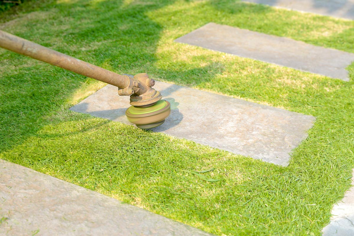 A man cutting grass with lawn mower, Can You Mow Over Stepping Stones? [How To Keep Your Pathway Trimmed]