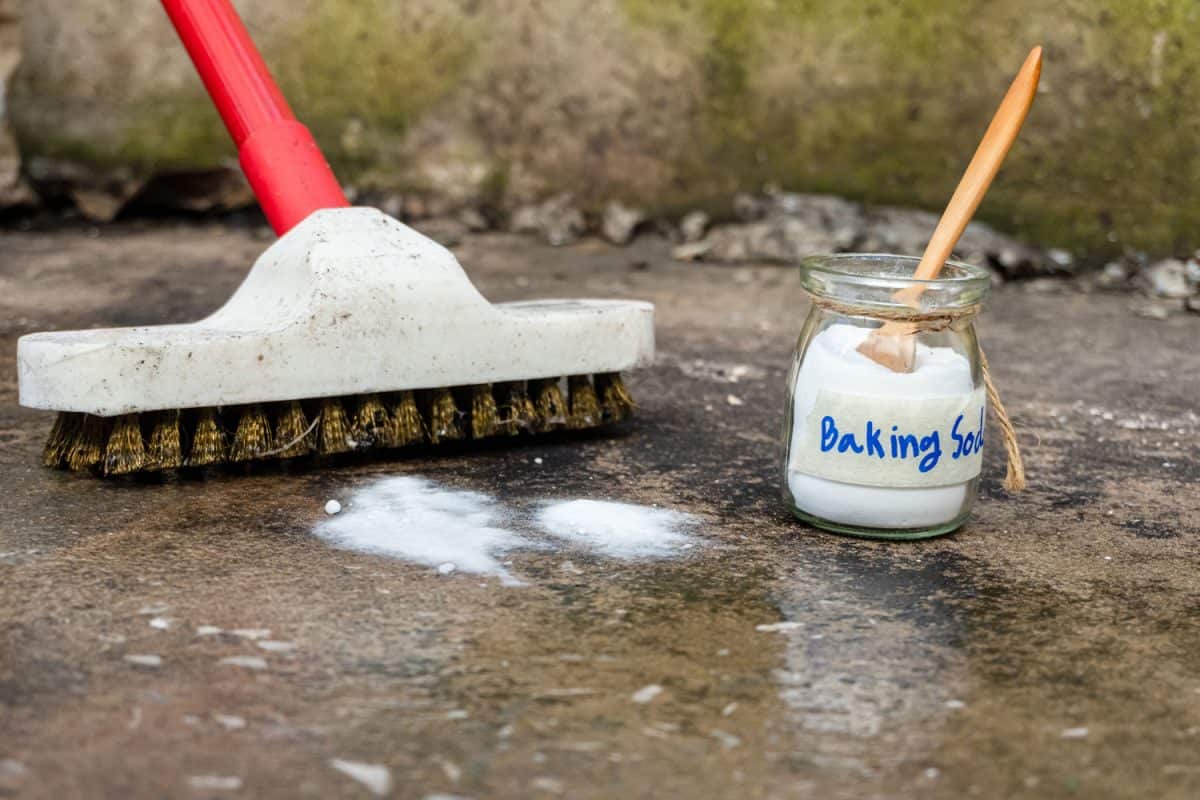 Removing moss anywhere using baking soda