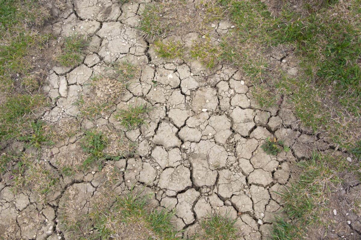 Soil erosion might cause your yard tidy and the water won't be having proper drainage