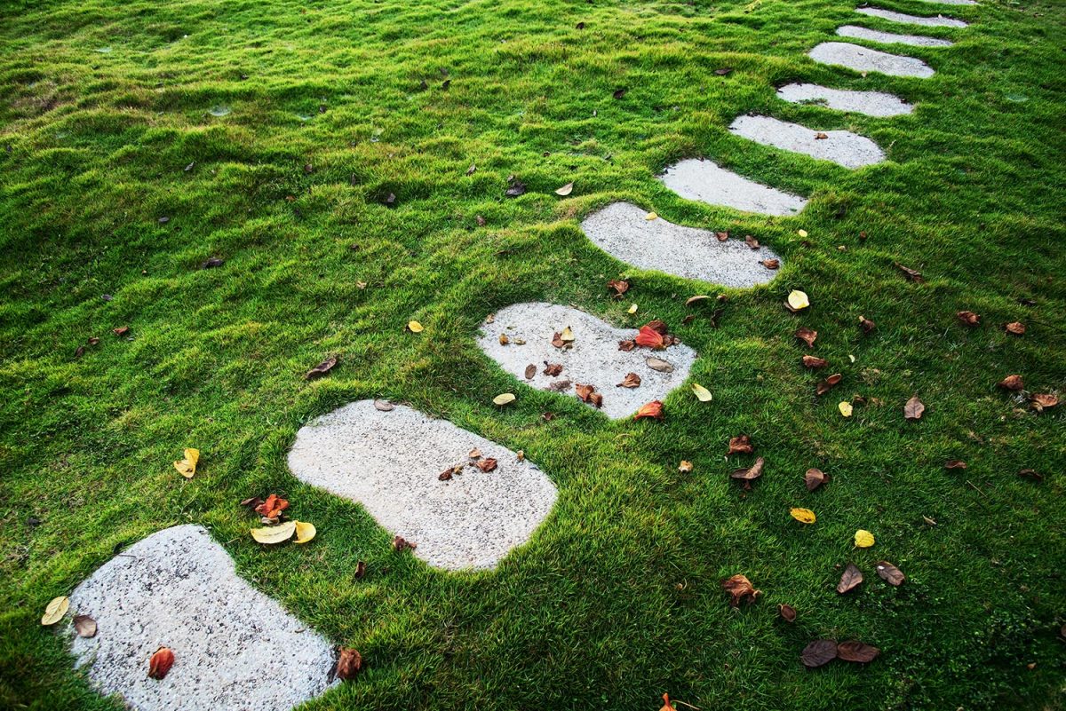 Stone pathway on the green lawn