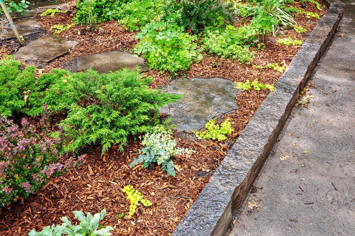 The mulch and soils in this woodland style shade garden are retained with a natural stone curb, and a pathway is created using random flagstone