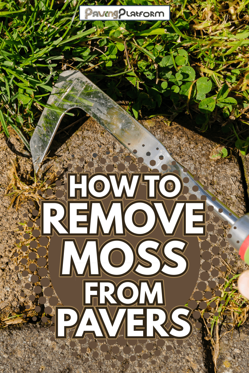 Using a patio knife to remove weeds from cracks in paving on a patio - How To Remove Moss From Pavers