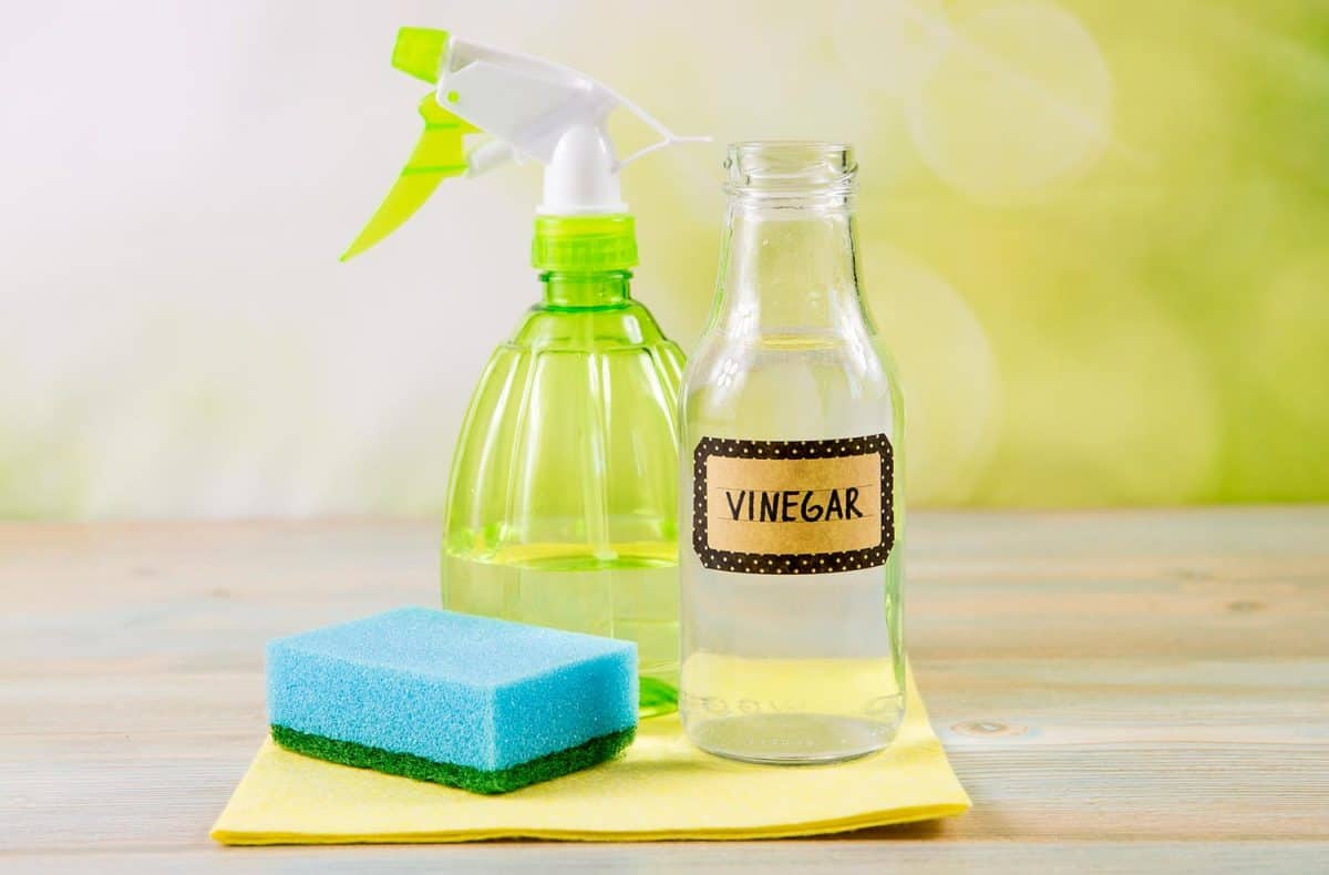 Using natural destilled white vinegar in spray bottle