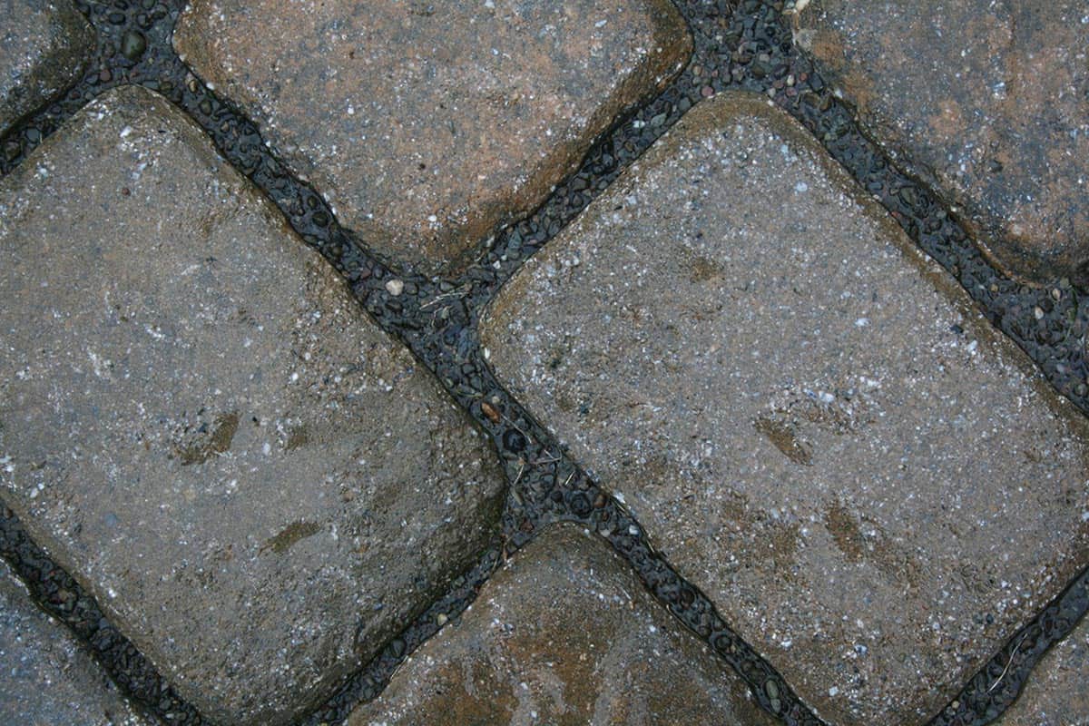 Wet paver stones