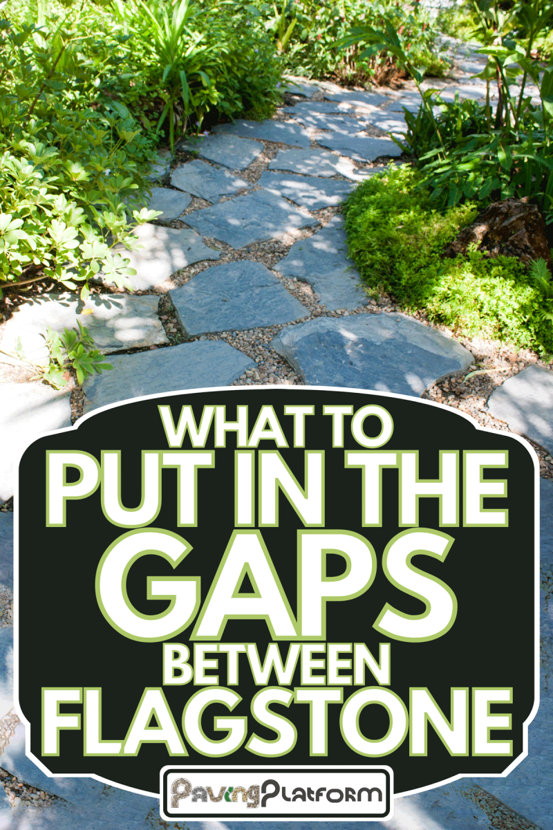 Flagstone pathway on the garden, What To Put In The Gaps Between Flagstone
