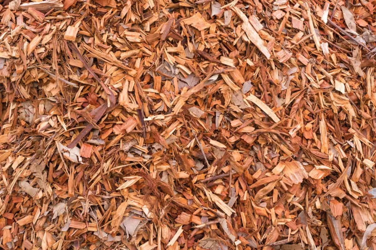 Wood chip or excess of wood can be used for landscaping
