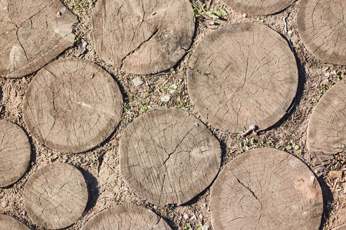 Wood disc fill the gaps with dirt for even surface