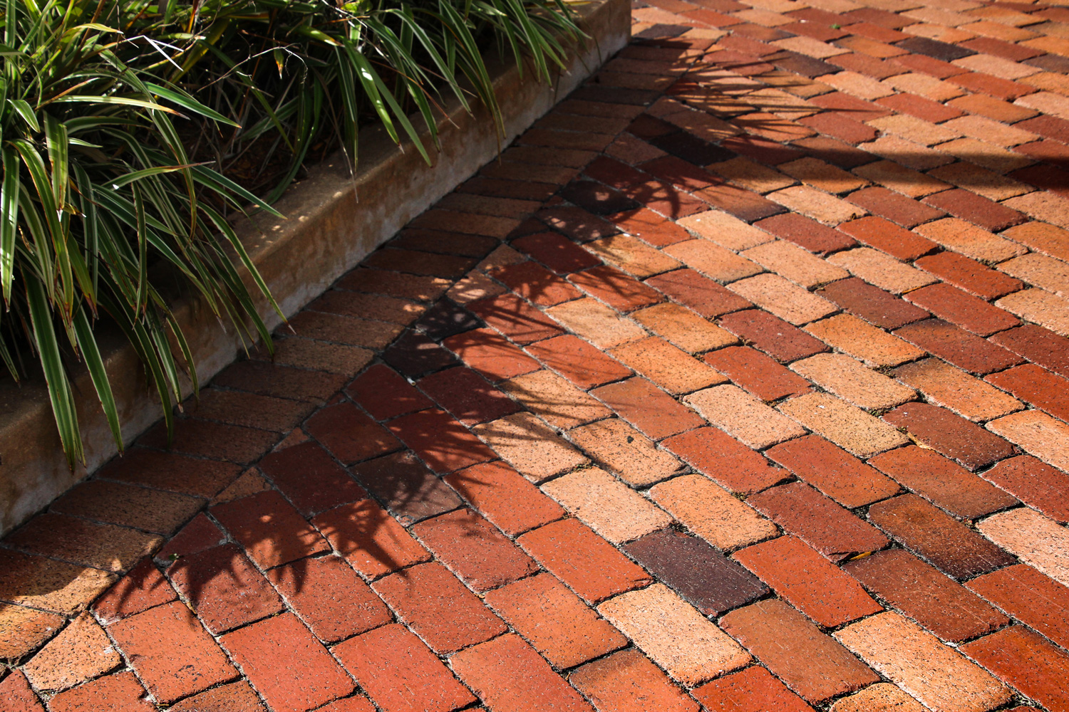 terra cotta colored paver bricks in sunny Florida
