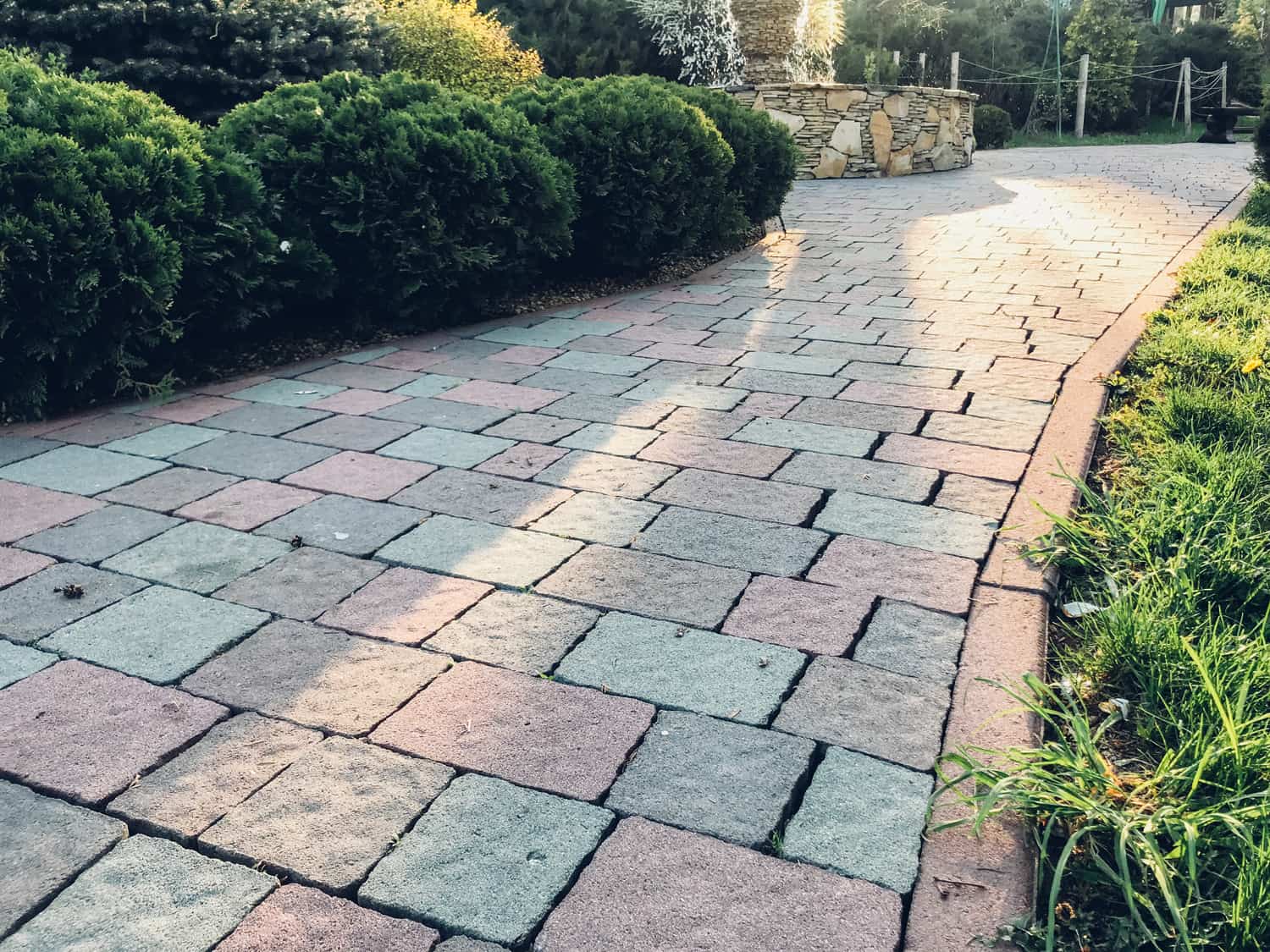 Garden brick pavers and tile plants, evergreen shrubs and deciduous trees landscaping
