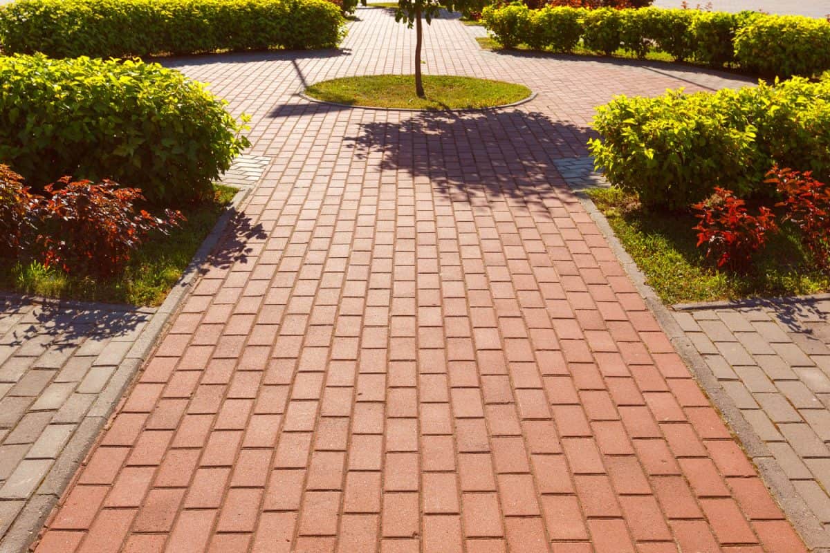 Red and gray properly laid out pavers with plants for hedges